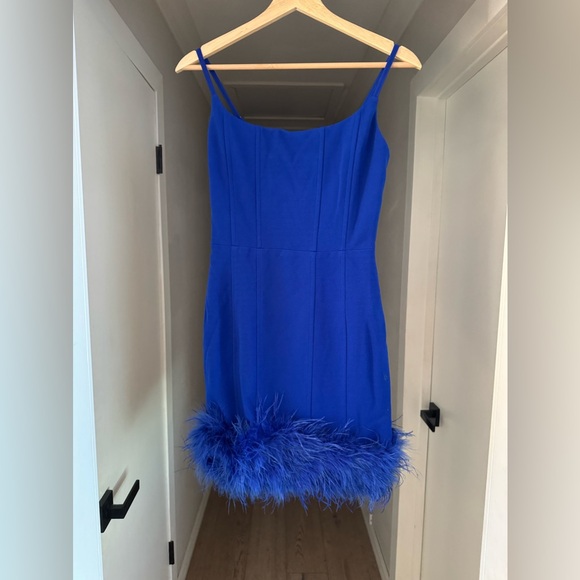 NWT | Revolve x Line & Dot | Louisa Feather-Trim Minidress | Sz XS - Picture 2 of 7